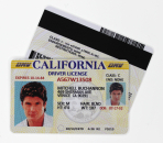 Dub Spencer - Fake ID – Mitch Buchannon